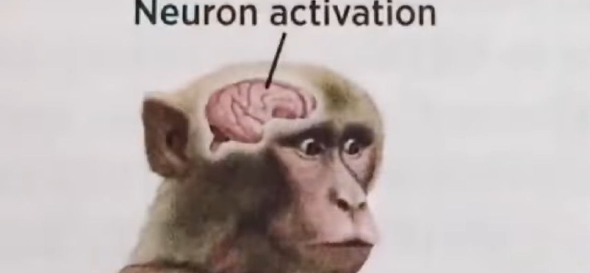 KTtheMeigs tweet media