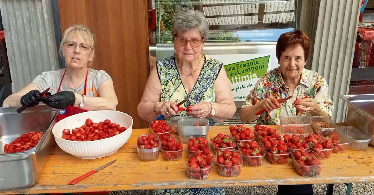 regioneFVGit's tweet photo. 🍓 L'ultimo fine settimana di giugno ed il primo di luglio torna ad #Attimis la Sagra delle Fragole e dei Lamponi.
Scopri qui il programma completo 👉 https://t.co/8NKN0namNT https://t.co/bcVl4WusDd