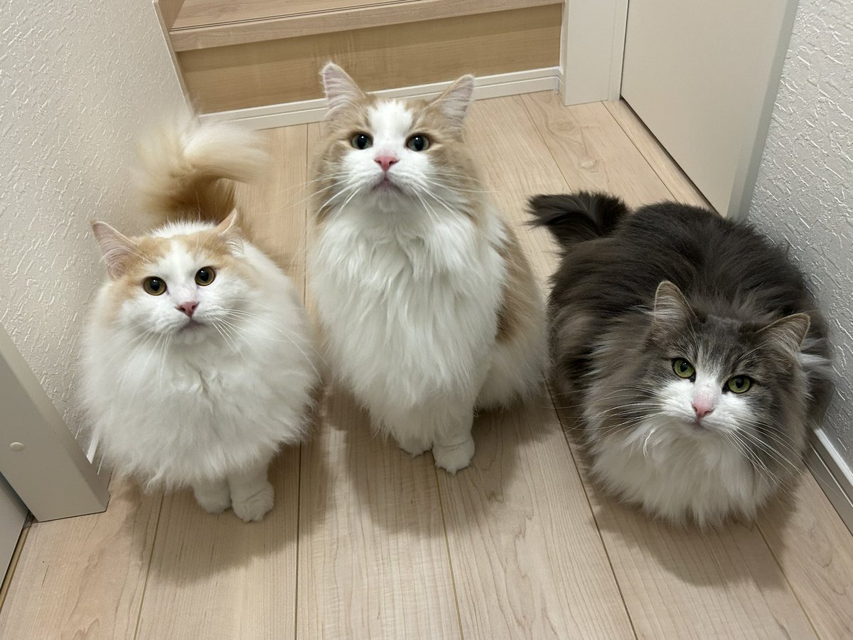 まなかちゃんへ

アカウント変えました
よろしくね

ﾐｨﾁｬｰﾝより