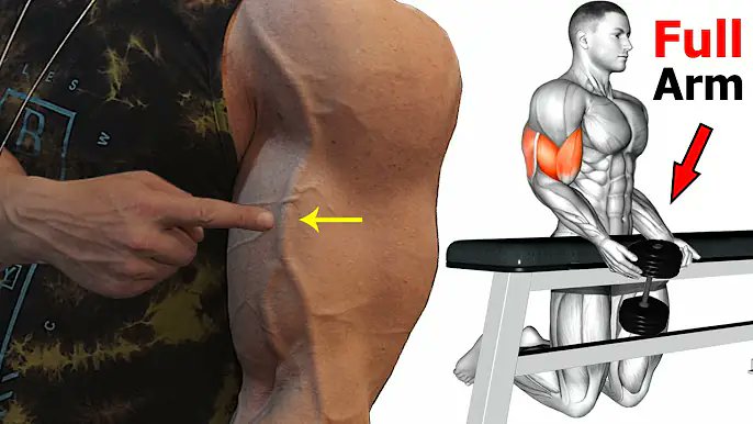 WealthMail's tweet photo. Full Arm Workout - 5 exercises to make your arms Big and perfect https://t.co/cLNyN4u29h