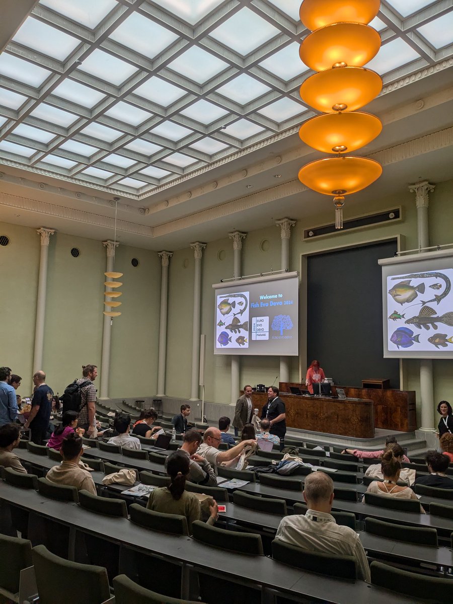 Gareth Fraser (@garethjfraser) on Twitter photo Kicking off EuroEvoDevo 2024 <a href="/helsinkiuni/">University of Helsinki</a> with the Fish Diversity EvoDevo symposium! #EED2024 #FishEvoDevo2024 #Finnishfishfest Kicking off EuroEvoDevo 2024 <a href="/helsinkiuni/">University of Helsinki</a> with the Fish Diversity EvoDevo symposium! #EED2024 #FishEvoDevo2024 #Finnishfishfest