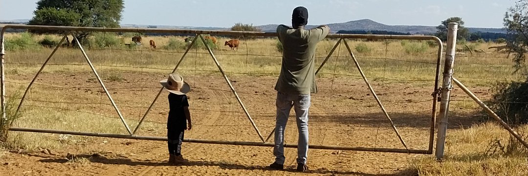 How much Land are you going to leave your descendants?