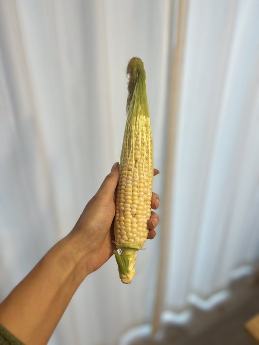 ベランダで育てたとうもろこし🌽  さすがにプランターで作ったから小さいけど、すんごく甘くて美味しかった✌️❤️ https://t.co/3v0Yth7B37