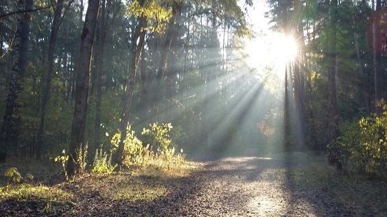 Gm , friends 🌞

How are you doing?🫶