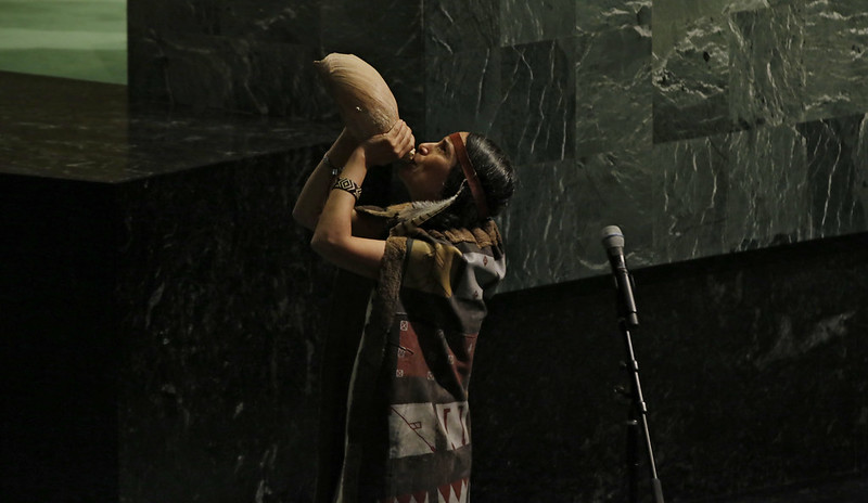 UNPFII tweet media