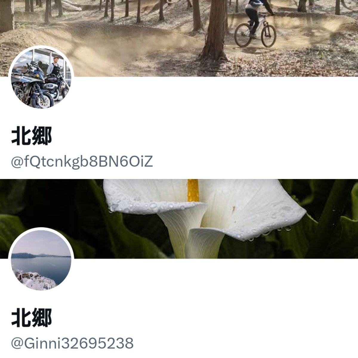 kuninoririn's tweet photo. 【刀ミュ　チケット詐欺】
★注意喚起★拡散希望★

北郷@Ginni32695238
北郷@fQtcnkgb8BN6OiZ
上記垢は詐欺です。

入金後、返信なくブロック→入金後別垢で譲渡のツイート。

身分証明書:保険証　北郷伸明
振込先名義:ハシモトケンセイ

#刀ミュ
#チケット詐欺
#参騎
#東京公演
#刀ミュチケット詐欺 https://t.co/zSoDmWAnBo