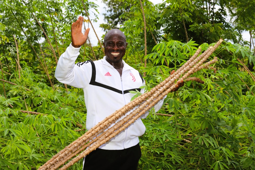 NigeriaSasakawa's tweet photo. SAA/IITA BASICS-II visits Benue's Casava seed entrepreneurs: Jato builds a dream home, and Chief Unah expands his farm with a new tractor. Farmers thriving with improved cassava varieties! #BASICSII #Benue https://t.co/ZKopgFCgVv