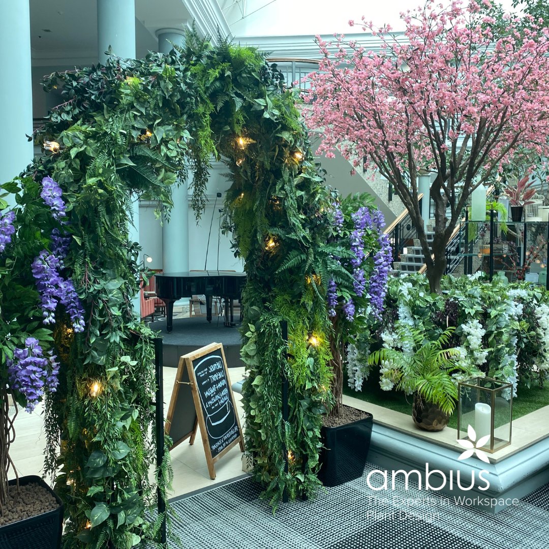 Ambius UK tweet media