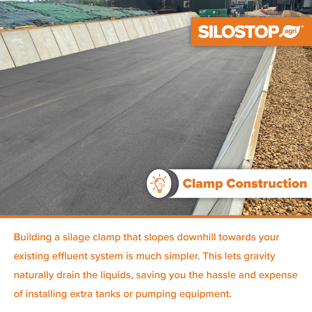 Simplify your silage clamp! Build it with a downhill slope towards your existing effluent system. Let gravity do the work, saving you the cost and hassle of extra tanks or pumps. 🌾
#SustainableFarming #DairyFraming  #SilageClampDesign #FarmInnovation #FarmingTips #AgriTech