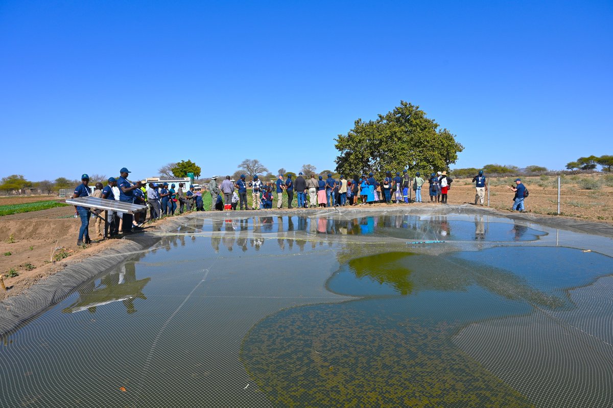 ACIARAfrica's tweet photo. The power of a #circularfoodsystem approach is unmatched. An #ACIAR-funded initiative in Mozambique🇲🇿, Tanzania🇹🇿, and Zimbabwe🇿🇼 integrates improved irrigation, livestock management, and dryland farming to ⬆️ #FoodSecurity and ⬇️ water inefficiency

More: https://t.co/ddZUbyi8bv https://t.co/9rXwXmOyyX