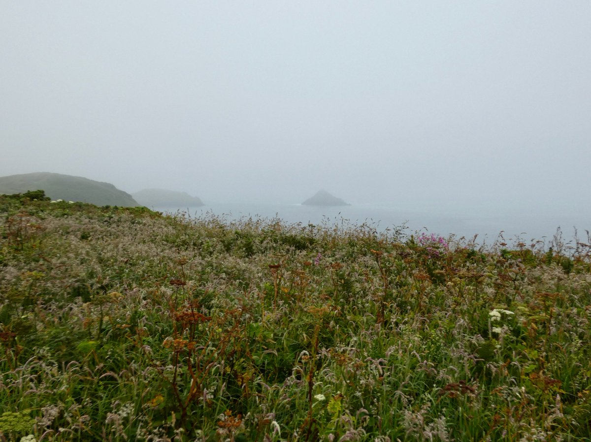 CliffsideKatie's tweet image. Watch out for the Yellow heat health alert today.🫤We have waterproofs and towels in action here, and another painting day ruined #peasoup #whatheatwave