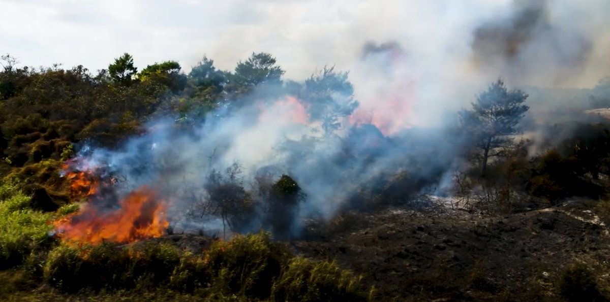 The Physiological Society (@thephysoc) on Twitter photo 🗺️Researchers from our global community emphasise the importance of #resilience in tackling the impact of #extremeheat.
▶️Watch the video: buff.ly/3zeeK8V
<a href="/JasonKWLee/">Jason Lee</a> <a href="/NUSMedicine/">Yong Loo Lin School of Medicine</a> <a href="/aiims_jodhpur/">AIIMS Jodhpur</a> <a href="/ollie_jay13/">Ollie Jay</a> <a href="/HeatHealth_USYD/">Heat and Health Research Incubator</a> <a href="/UniversityofNa9/">University of Namibia</a> <a href="/BonellAna/">Ana Bonell</a> <a href="/mrcunitgambia/">MRC Unit The Gambia at LSHTM</a> 🗺️Researchers from our global community emphasise the importance of #resilience in tackling the impact of #extremeheat.
▶️Watch the video: buff.ly/3zeeK8V
<a href="/JasonKWLee/">Jason Lee</a> <a href="/NUSMedicine/">Yong Loo Lin School of Medicine</a> <a href="/aiims_jodhpur/">AIIMS Jodhpur</a> <a href="/ollie_jay13/">Ollie Jay</a> <a href="/HeatHealth_USYD/">Heat and Health Research Incubator</a> <a href="/UniversityofNa9/">University of Namibia</a> <a href="/BonellAna/">Ana Bonell</a> <a href="/mrcunitgambia/">MRC Unit The Gambia at LSHTM</a>
