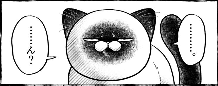 「#オヤジとにゃん吉」4コマ漫画がアップされました!👨‍🦳🐾🐱  おや…?にゃん吉?の様子が…?  休載おまけ / オヤジとにゃん吉 - 片倉頼 | サンデーうぇぶり [  ]
