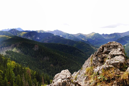 GORSKI_SWIAT's tweet photo. 🚨UWAGA❗️ #TATRY #NOSAL - ZAKAZ !!!
Od 25 czerwca (tylko w dni powszednie) do odwołania nie będzie dostępna trasa na odcinku Bulwary Słowackiego – Nosal – Nosalowa Przełęcz (w obie strony). Powodem zamknięcia jest remont.
https://t.co/NM9Ndm67z0 https://t.co/WcyLuL7eVu