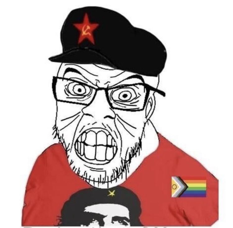 TonPereLaTurlut's tweet image. Portrait-robot du participant de base à la campagne de #bashing anti-#MR et anti-@GLBouchez sur X.