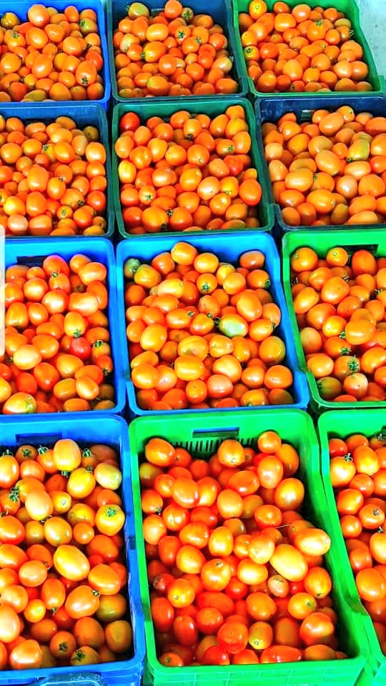 DinmaEzeh's tweet photo. Harvest comes with joy 😊, it's the reward of diligent labour.
As we go into the new week, may we reap bountiful yields of our labour.
#Chi🌍
#HorticulturalConsultant
#Healthyforall https://t.co/mXtIj6GXYV