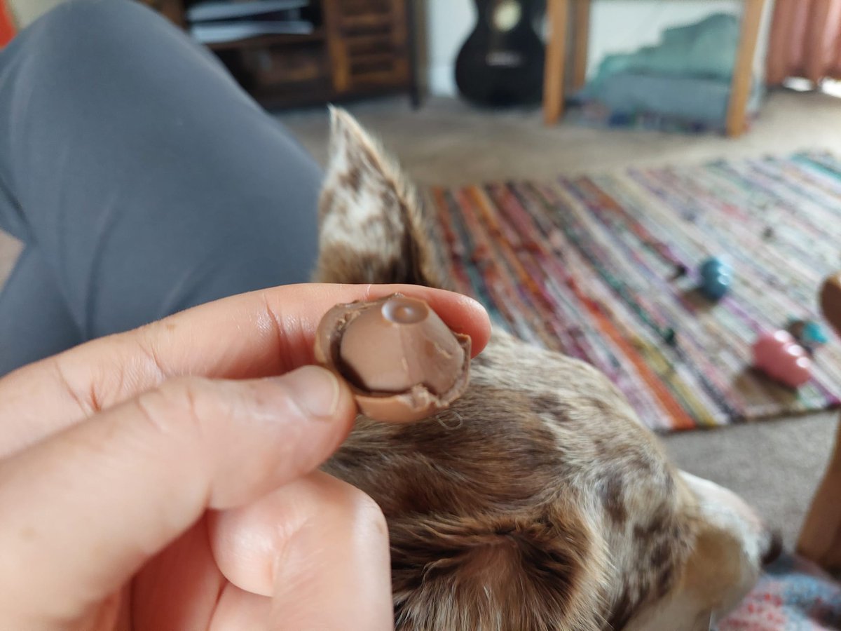 Lindor's Chocolatiers are clearly #geologists because they hid a strato volcano complete with central crater &amp; little dome inside my chocolate 🍫🌋