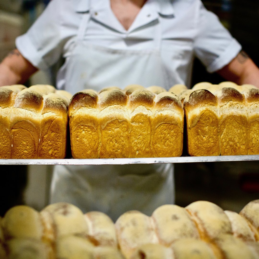 There's nothing quite like the smell of freshly baked bread in the morning.🍞 

At Harry Gow, we take pride in baking our bread fresh every morning so you can enjoy that just-out-of-the-oven goodness.

Visit your nearest Harry Gow shop for good ole whiff and a taste?