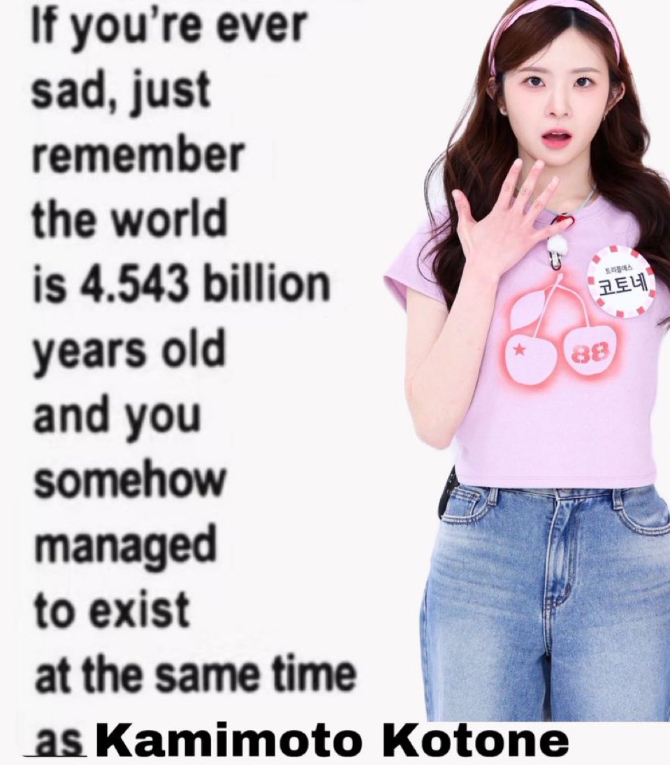 daily kotone (@dailykotone) on Twitter photo 