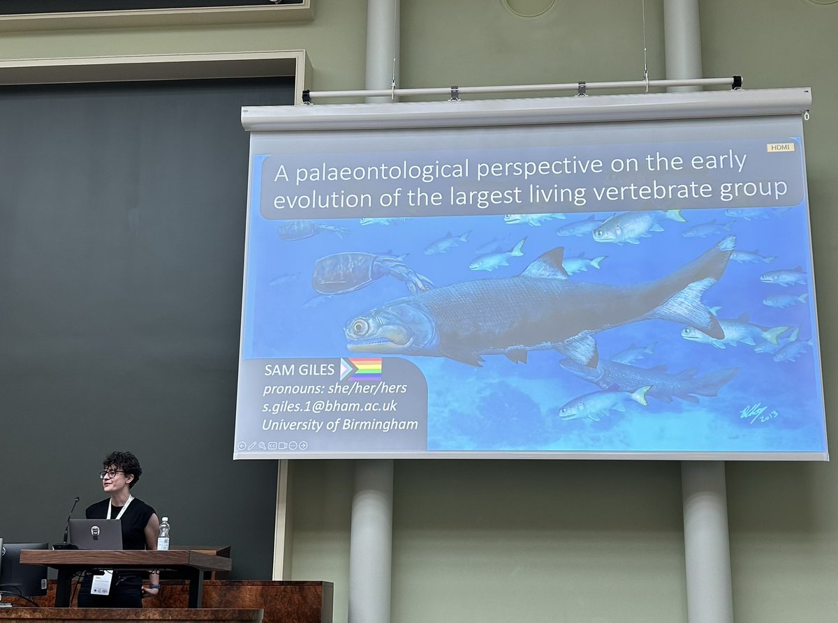 From embryos to fossils now, courtesy of <a href="/GilesPalaeoLab/">Sam Giles</a>. #EED2024 #FishEvoDevo2024