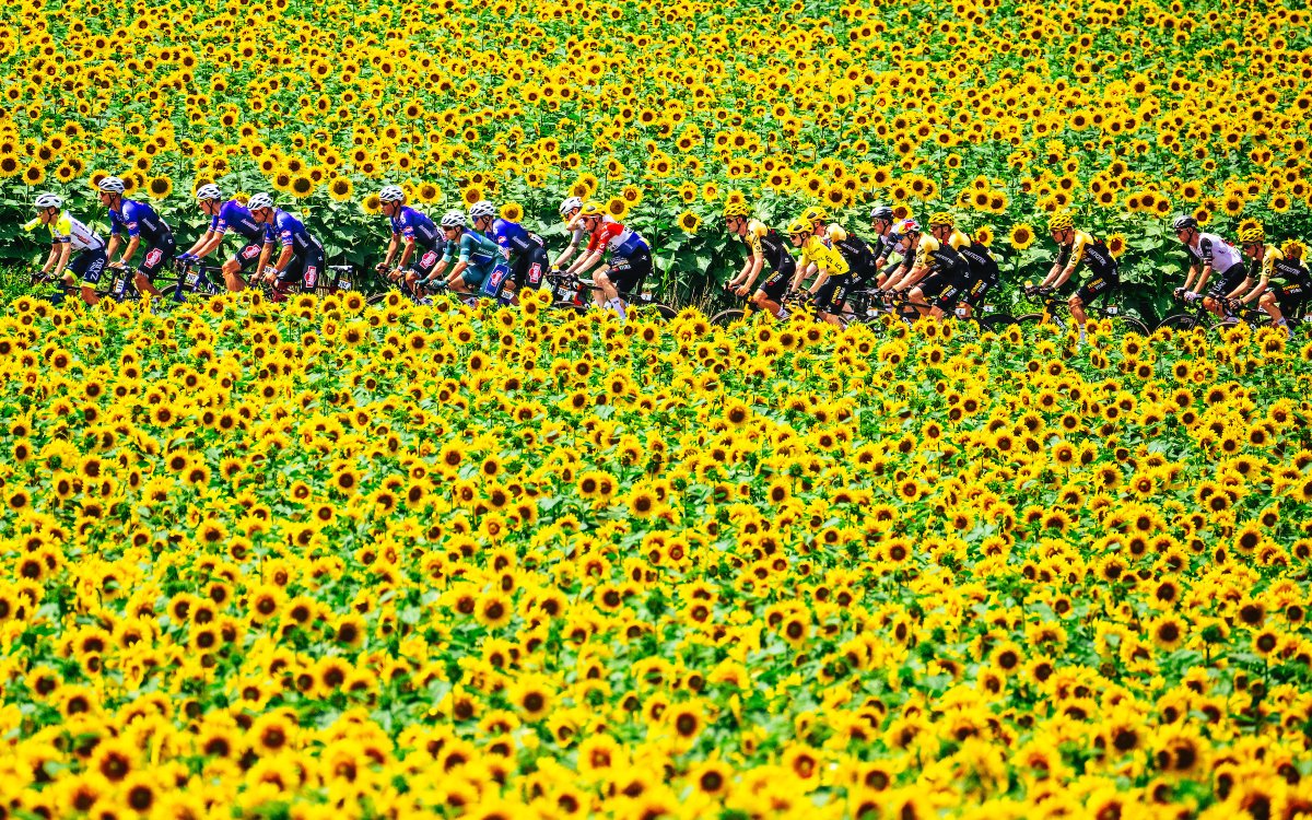 💛 It's Tour de France week! 💛

💛 Le #TDF2024 commence cette semaine ! 💛
