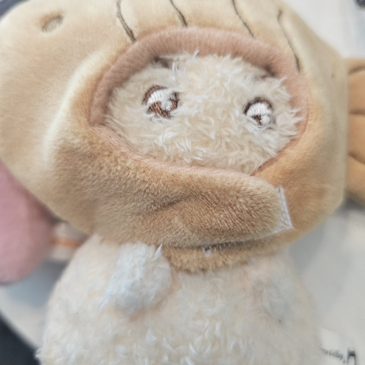 캐럿친구가 한딱지한테 선물 해줬어💗💗💗😍😻