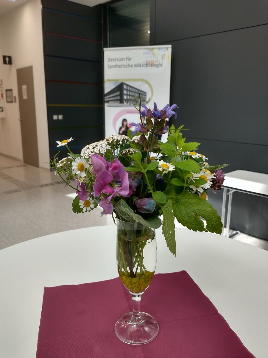 @Sustainability_Network@social.mpdl.mpg.de (@sustainable_mpg) on Twitter photo The Annual Conference of the Max Planck Sustainability Network - hosted by the <a href="/MPI_Marburg/">Max Planck Institute for Terrestrial Microbiology</a> - is about to start in the beautiful new building of @SYNMIKRO ! #MaxPlanckSustainability The Annual Conference of the Max Planck Sustainability Network - hosted by the <a href="/MPI_Marburg/">Max Planck Institute for Terrestrial Microbiology</a> - is about to start in the beautiful new building of @SYNMIKRO ! #MaxPlanckSustainability