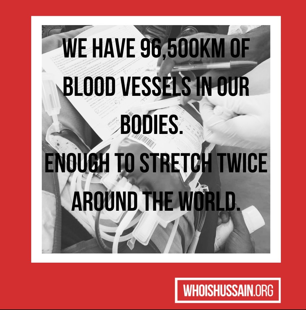 whoishussainUG's tweet photo. Fun facts about donating blood.
#29June #Blooddrive #donatetosavealife #whoishussain #uganda #kampala #kyengera #ntinda #ggabaroad #kawempe #Kitintale #bukasa #namanve https://t.co/TSzguKckTH