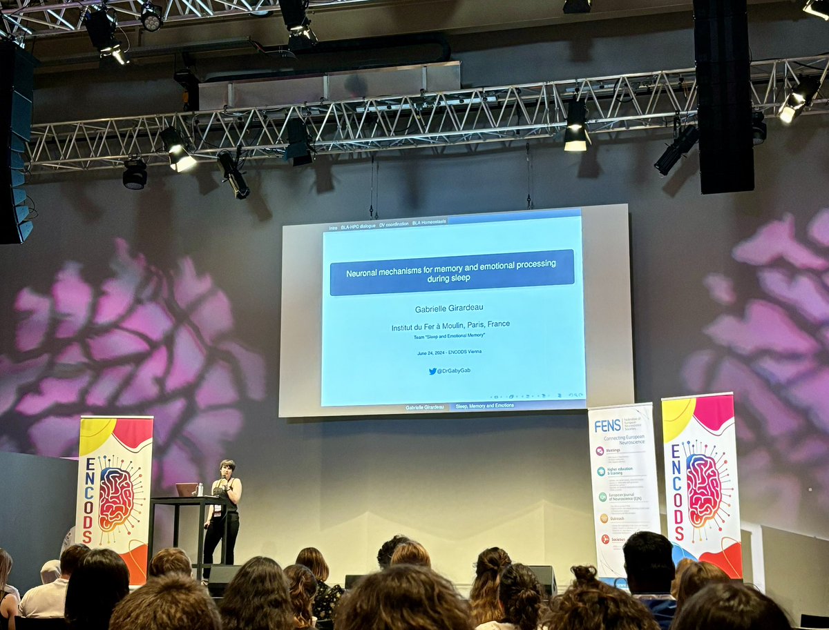 Amazing talk by @DrGabyLab on sleep, memory, and emotions at #ENCODS24. What a great way to start the day!