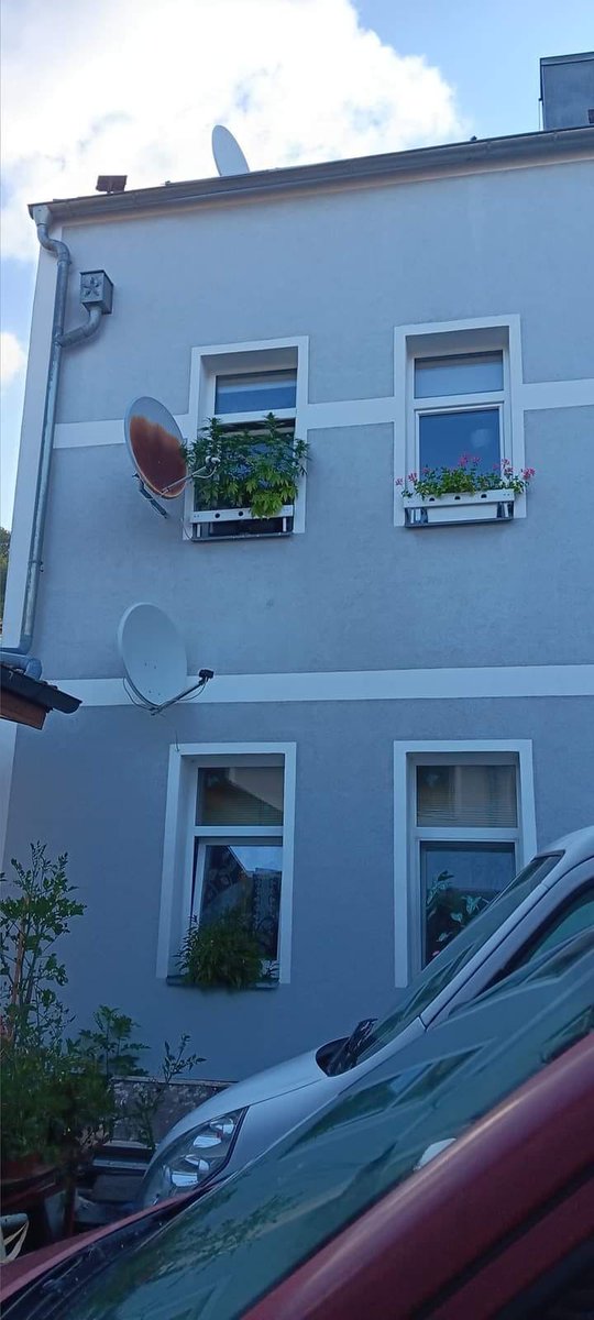 Canapa Network  (@canapanetwork) on Twitter photo 