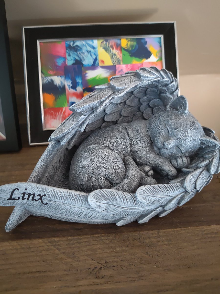 My sister gave me this to remember Linx, it is so beautiful I cried🥲❤️  My little angel baby