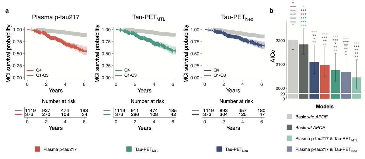 🚨 NEW PREPRINT!

"Prediction of future cognitive decline among cognitively unimpaired individuals using measures of soluble phosphorylated tau or tau tangle pathology"

I am very pleased to present our most recent work!

It concerns a large multi-cohort study in which we