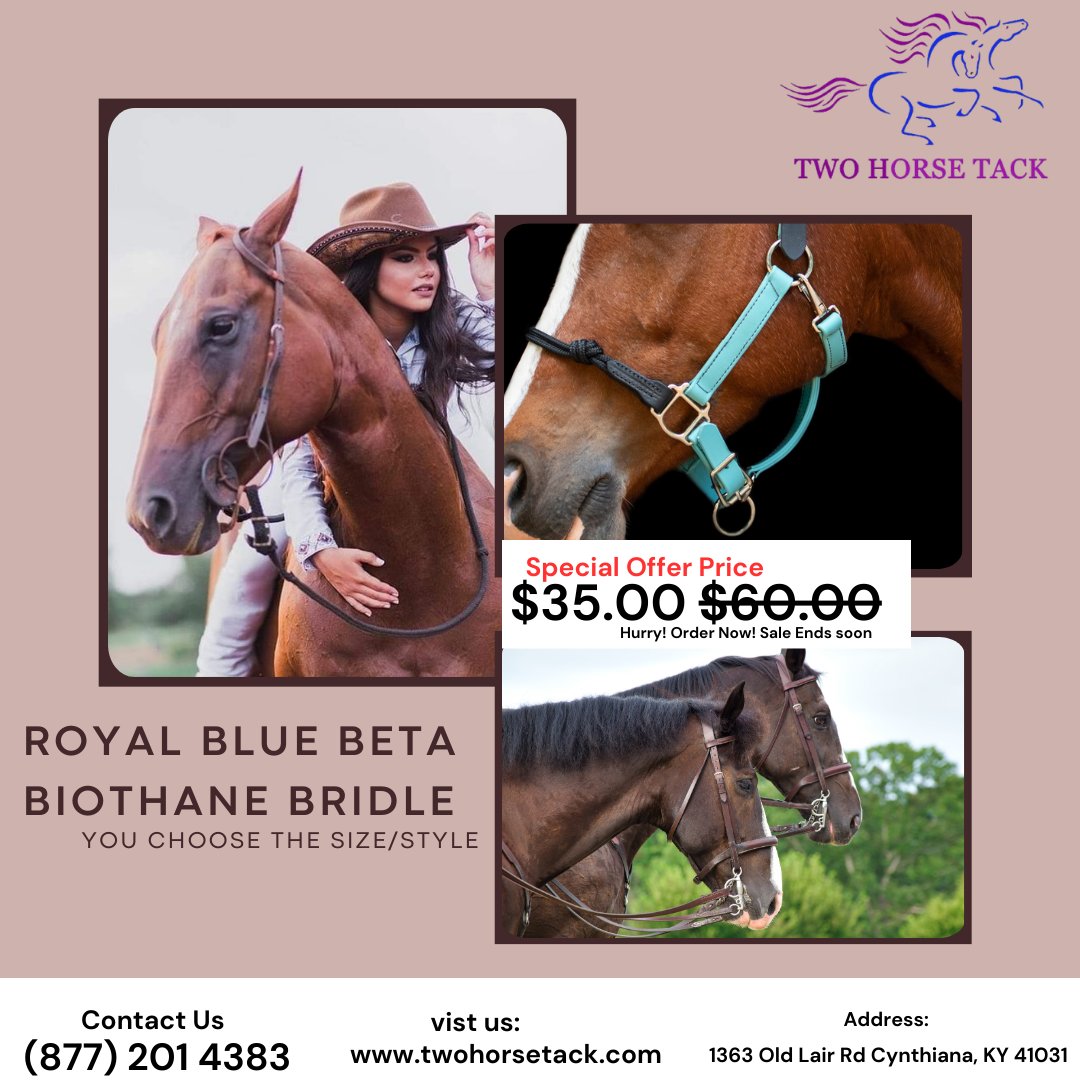 2horsetack's tweet photo. Premium Royal Blue Beta Biothane Bridle - Tailor Your Perfect Fit https://t.co/B7ChZduJI6
#BetaBiothane #TrailReins #Grip #BetaBiothaneTrailReins https://t.co/Kx2QrFAQuC