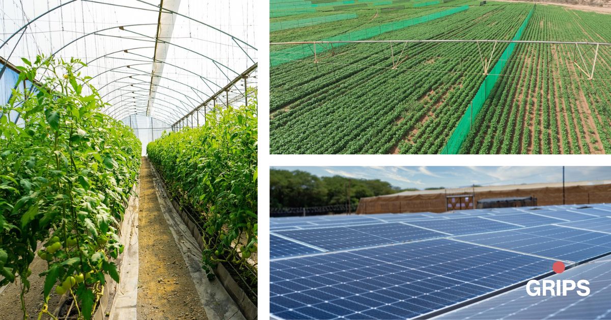 GripsEnergy's tweet photo. Our renewable energy solutions tailored for remote settings solve real challenges remote areas face, providing:

✅ 𝗥𝗲𝗹𝗶𝗮𝗯𝗹𝗲 𝗣𝗼𝘄𝗲𝗿
✅ 𝗟𝗼𝘄𝗲𝗿 𝗖𝗼𝘀𝘁𝘀
✅ 𝗦𝘂𝘀𝘁𝗮𝗶𝗻𝗮𝗯𝗹𝗲 𝗣𝗿𝗮𝗰𝘁𝗶𝗰𝗲𝘀
#CleanEnergy #SustainableAgriculture #SustainableDevelopment https://t.co/pMvGt2Dh1y