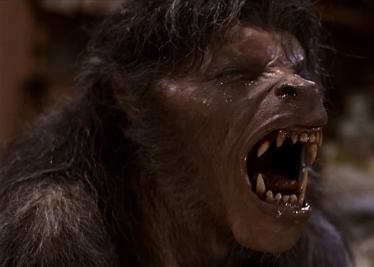 𝕯𝖎𝖆𝖌𝖔 ☾ tweet media