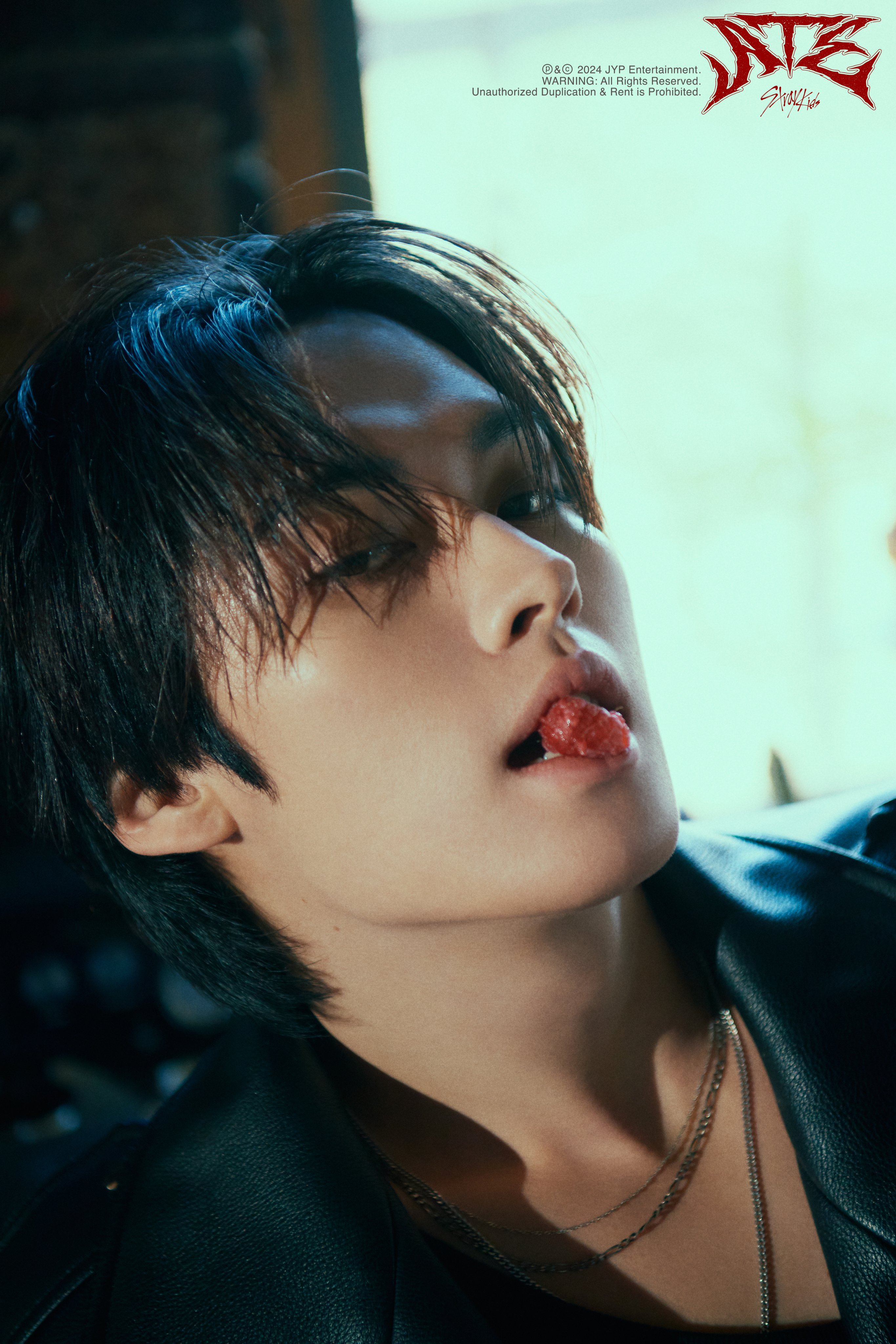 Stray Kids Japan Official on X: Stray Kids Japan Official on X: