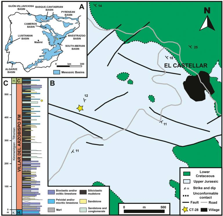 Finally out! S. Sánchez-Fenollosa (<a href="/DinopolisTeruel/">Dinópolis Teruel</a> ), F. Escaso (<a href="/UNED/">UNED</a> ) and A. Cobos (<a href="/DinopolisTeruel/">Dinópolis Teruel</a>) published in the <a href="/ZoolJLinnSoc/">Zoological Journal of the Linnean Society</a> a new specimens of #Dacentrurus armatus from the Upper Jurassic of #Teruel!
doi.org/10.1093/zoolin…