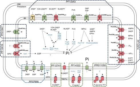 Ian Lidbury tweet media