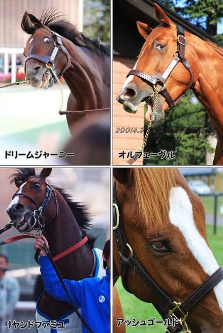 塩化スペシウム鉱泉♯Z on X: 塩化スペシウム鉱泉♯Z on X:
