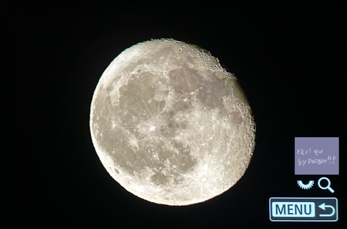 𝗗𝗮𝗹𝗶𝗴𝗵𝘁. tweet media