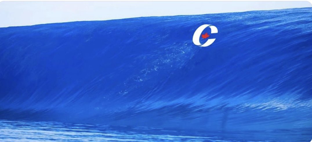 SaskLass's tweet image. Today is your day Toronto-St. Paul!
Make sure you all get out there and vote!
Make us proud ! 💙