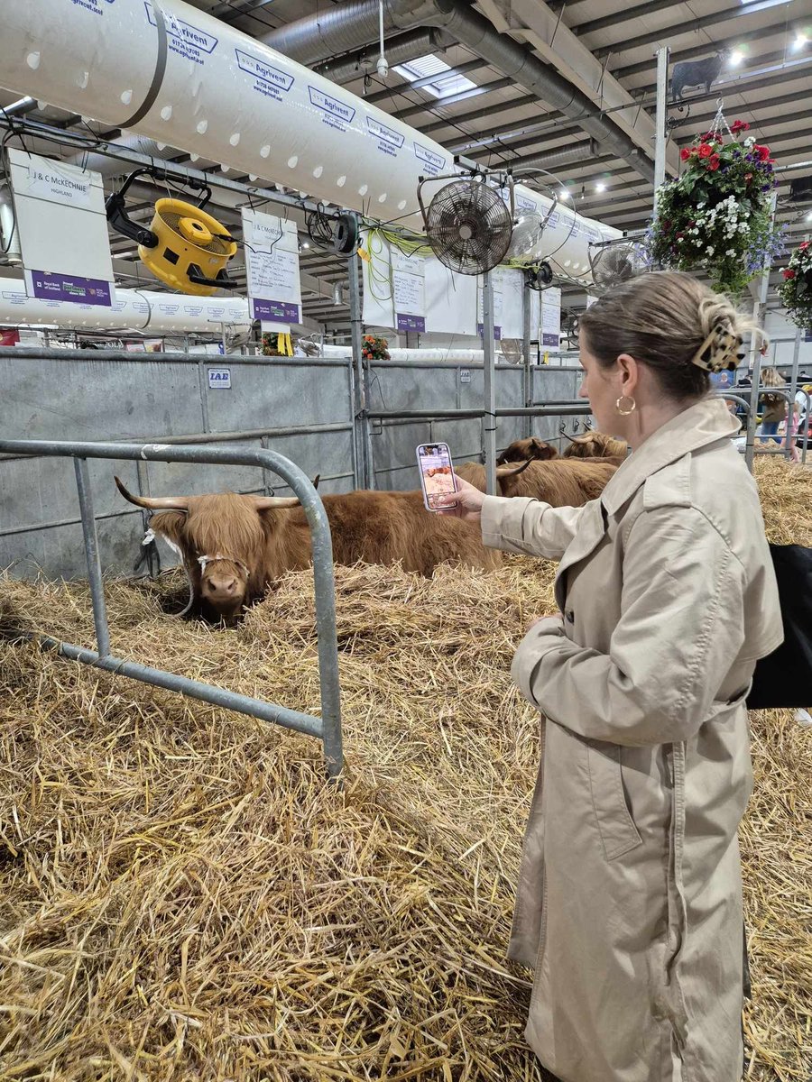 Muckle Media (@mucklemedia) on Twitter photo And that's a wrap... The Muckle team had an epic four days managing the press office for Scotland's biggest outdoor event the <a href="/ScotlandRHShow/">Royal Highland Show</a>. We bid our bovine friends next to the media centre farewell - till next year! And that's a wrap... The Muckle team had an epic four days managing the press office for Scotland's biggest outdoor event the <a href="/ScotlandRHShow/">Royal Highland Show</a>. We bid our bovine friends next to the media centre farewell - till next year!