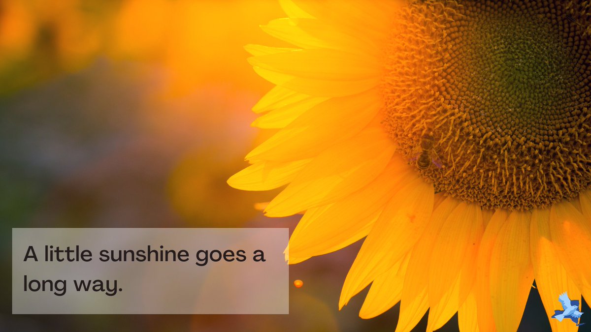 Embrace the sunshine.  
#InspirationalQuotes #victimservices