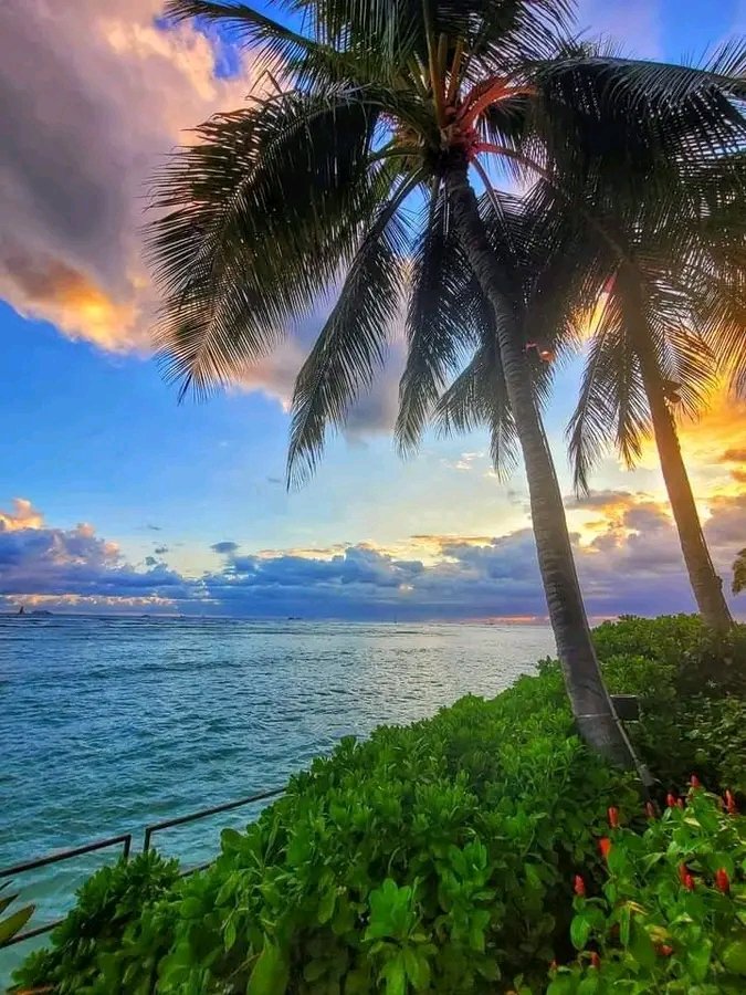 May their timeless grace remind us of the profound beauty that exists in every moment, and may our hearts be forever touched by the enchanting dance of nature's love ❤️."