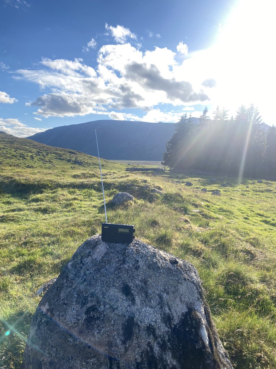 Miss Stephen tweet media