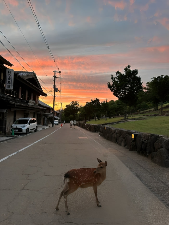 若草山の夕日はとても美しいです