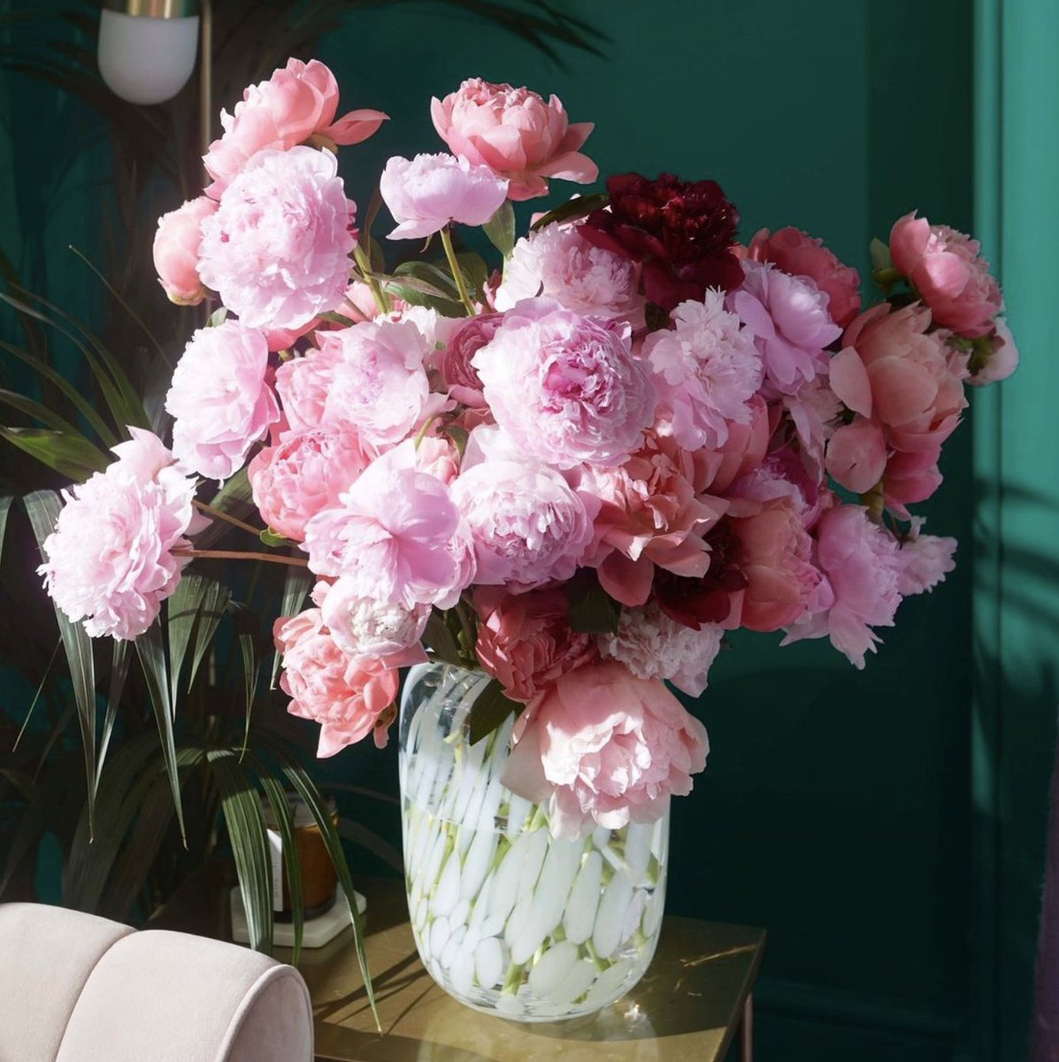 Not to panic you. But this is your last chance to get your hands on pink peonies ⏳

Have you received some this season? 💓