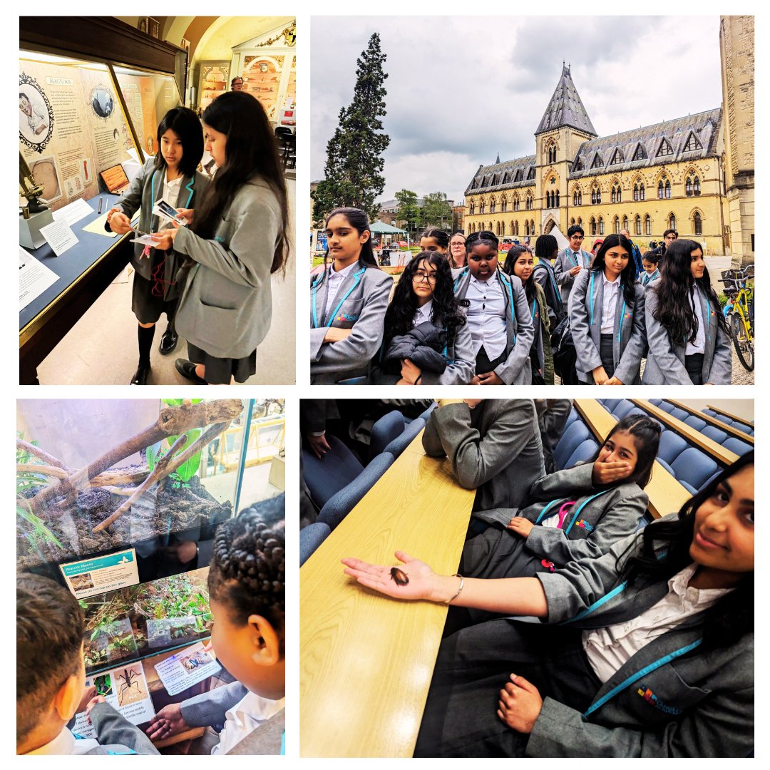 Arbib_Ed's tweet photo. Don't be a medium-sized cockroach! Advice from Sarah Lloyd at #OUMNH to Yr 7 students on our @MuseumLearning trip. They learned about adaptation, environment, and evolution, and met real Hissing Cockroaches! Chris Parkin @morethanadodo showcased early electrostatic experiments. https://t.co/3eSAjNhPNl