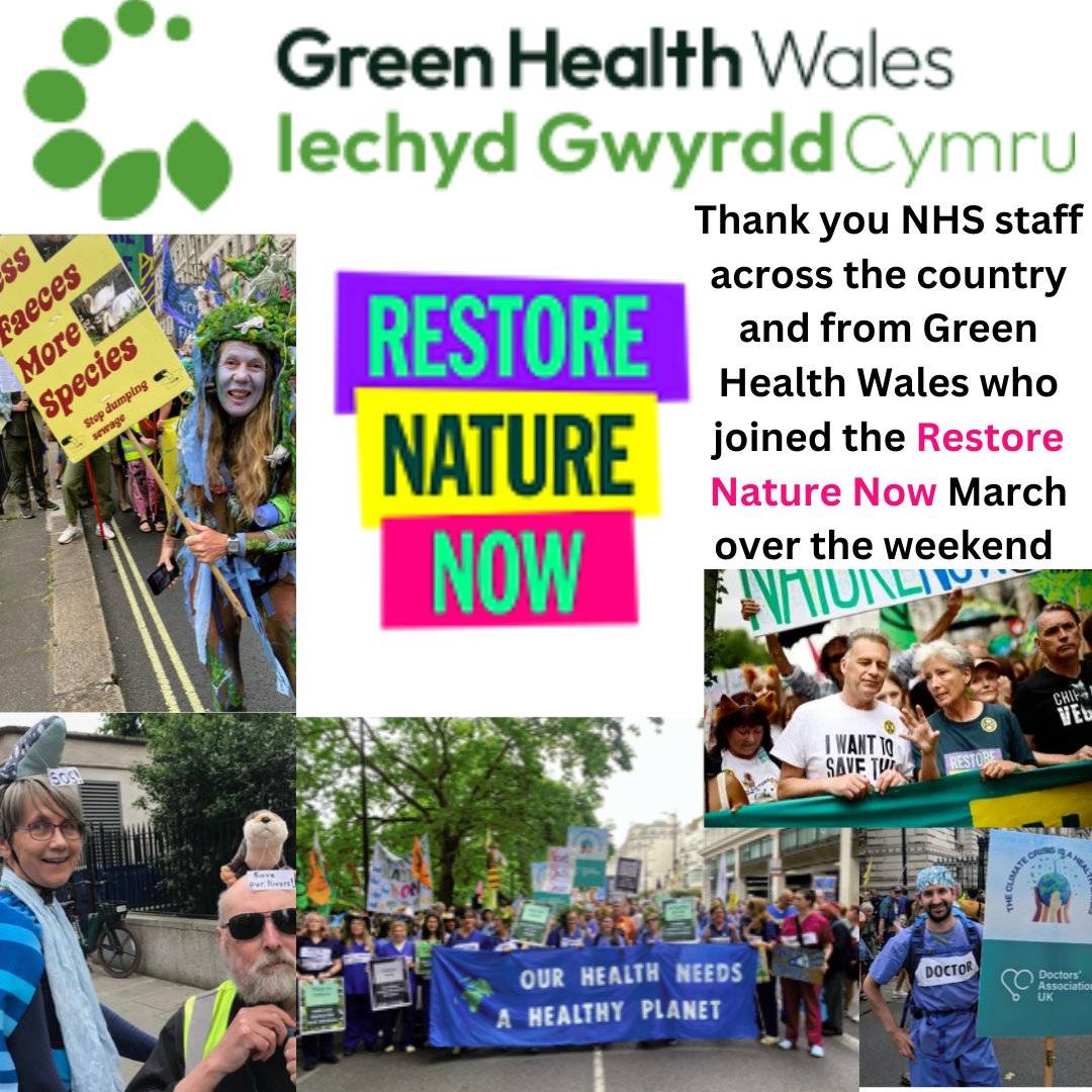 Green Health Wales (@greenhwales) on Twitter photo NHS staff from across WALES supported and attended the RESTORE NATURE NOW march
<a href="/RNNMarch/">Restore Nature Now</a> <a href="/PharmDeclares/">PharmacyDeclares!</a> <a href="/physio_declares/">Physiotherapy Declares</a> @GreenerPractice <a href="/futuregencymru/">Future Gen Cymru</a> @HEIW_NHS <a href="/PublicHealthW/">Public Health Wales</a> @CoedCadw <a href="/coedlleol/">Coed Lleol / Small Woods</a> <a href="/ClimateCymru/">Climate Cymru</a> NHS staff from across WALES supported and attended the RESTORE NATURE NOW march
<a href="/RNNMarch/">Restore Nature Now</a> <a href="/PharmDeclares/">PharmacyDeclares!</a> <a href="/physio_declares/">Physiotherapy Declares</a> @GreenerPractice <a href="/futuregencymru/">Future Gen Cymru</a> @HEIW_NHS <a href="/PublicHealthW/">Public Health Wales</a> @CoedCadw <a href="/coedlleol/">Coed Lleol / Small Woods</a> <a href="/ClimateCymru/">Climate Cymru</a>