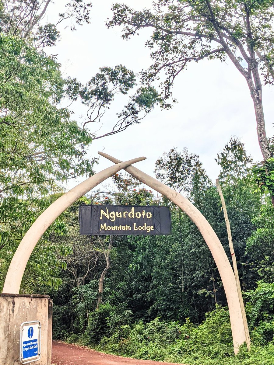 Jogona_'s tweet photo. Kama unapenda nature, come in Arusha 😍
#VisitMeru https://t.co/ztiKldwuCR